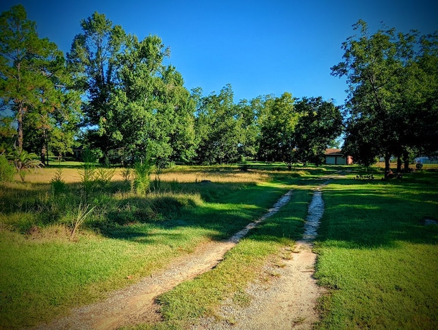 view of community featuring a lawn