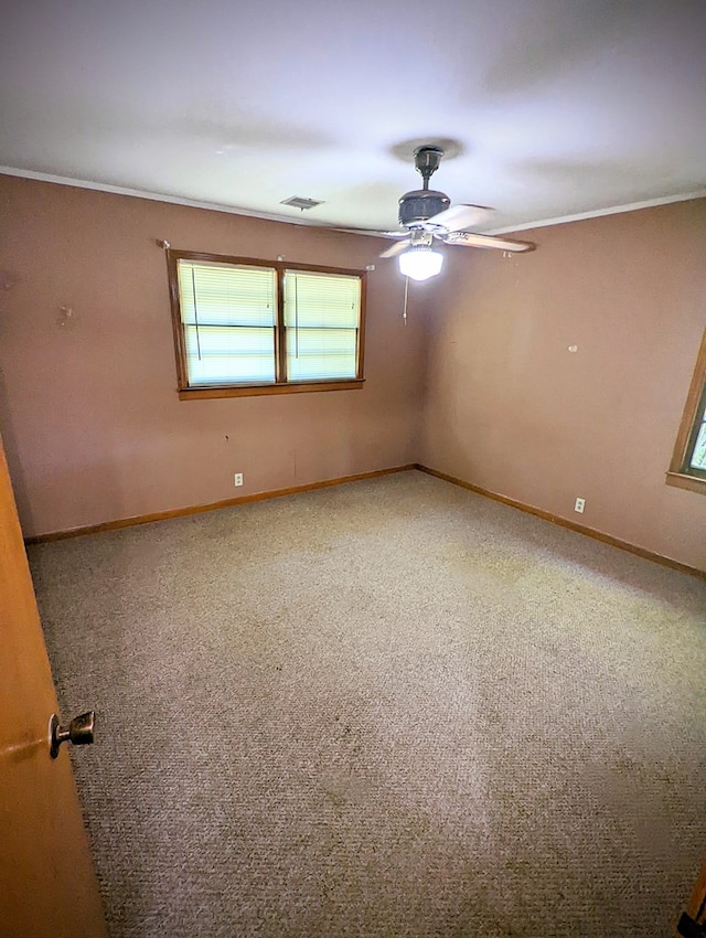 1101 Pine Knot Rd, Ashburn, GA 31714 - photo 55
