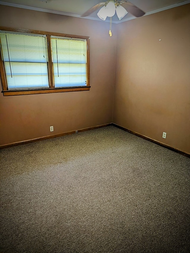 1101 Pine Knot Rd, Ashburn, GA 31714 - photo 35