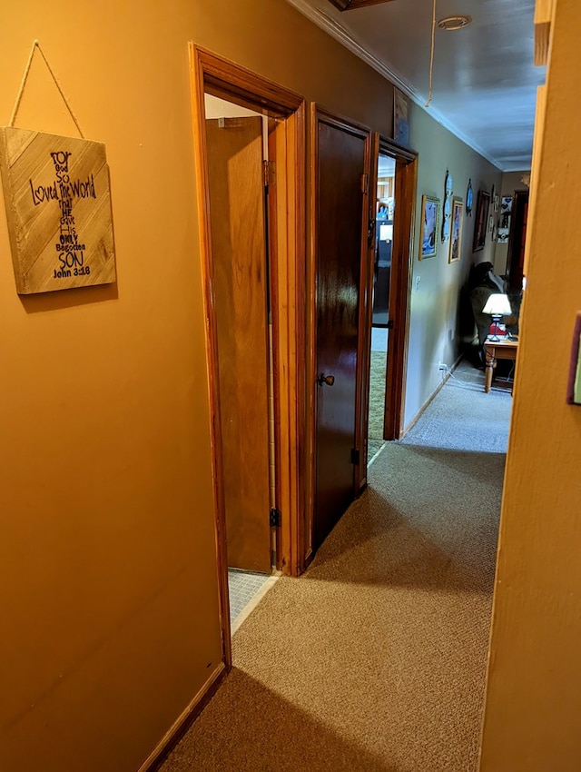 hall featuring carpet, attic access, baseboards, and crown molding