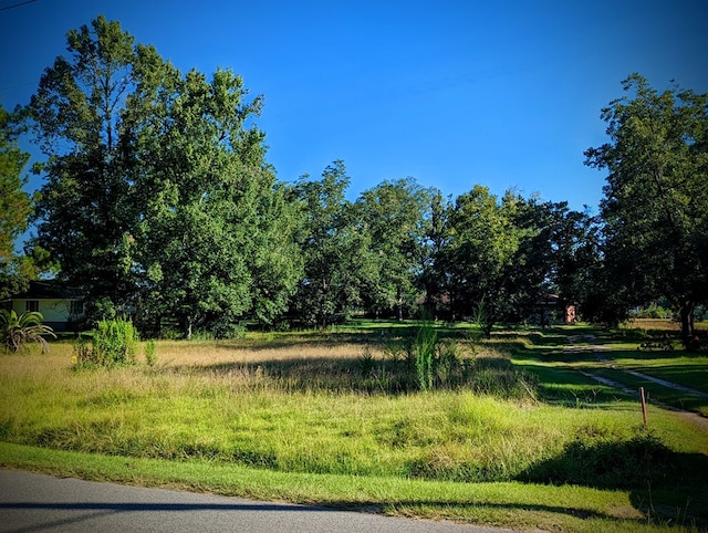 view of landscape
