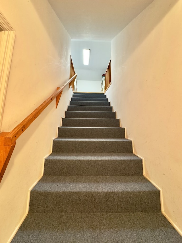 stairs featuring carpet flooring