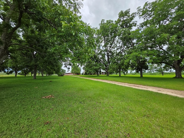 1024 Ten Mile Rd, Fitzgerald, GA 31750 - photo 68