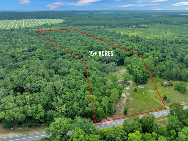 336 Green Valley Rd, Sylvester, GA 31791