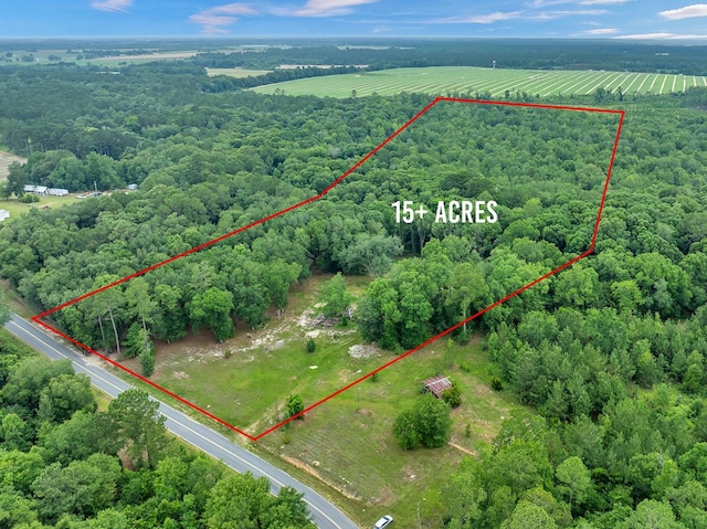 336 Green Valley Rd, Sylvester, GA 31791