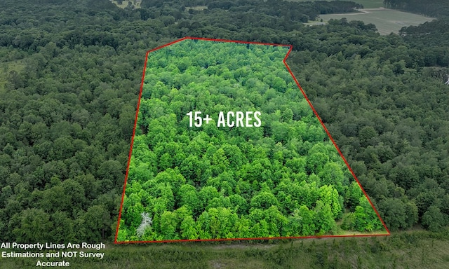 336 Green Valley Rd, Sylvester, GA 31791