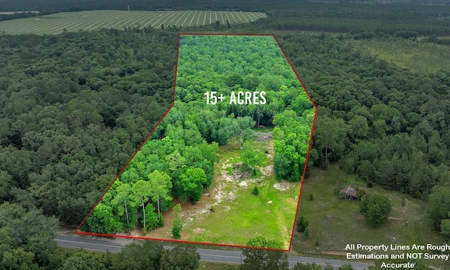 336 Green Valley Rd, Sylvester, GA 31791