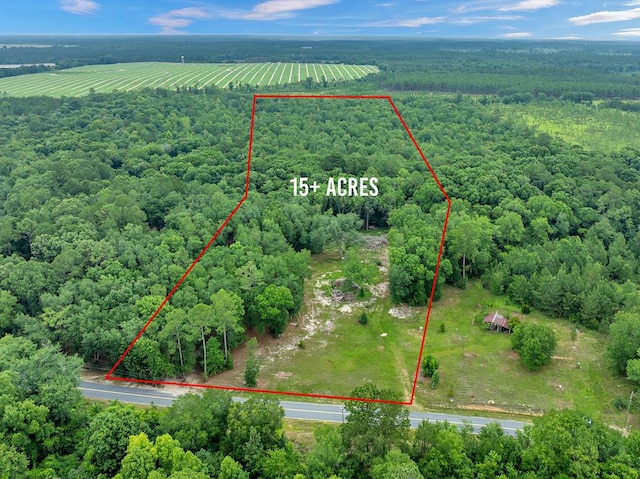336 Green Valley Rd, Sylvester, GA 31791