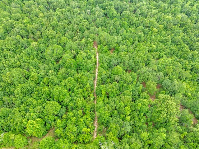 336 Green Valley Rd, Sylvester, GA 31791