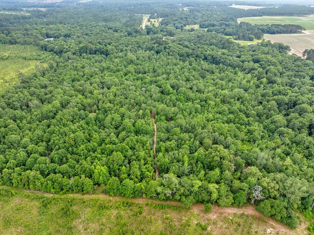336 Green Valley Rd, Sylvester, GA 31791