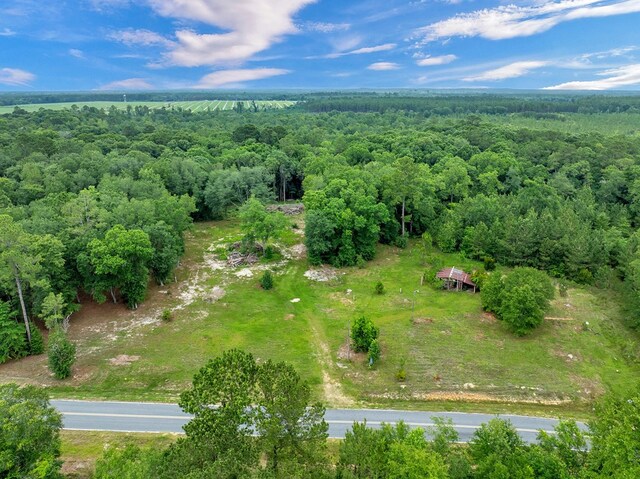 336 Green Valley Rd, Sylvester, GA 31791