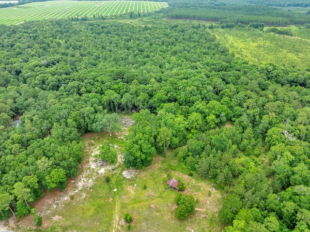 336 Green Valley Rd, Sylvester, GA 31791