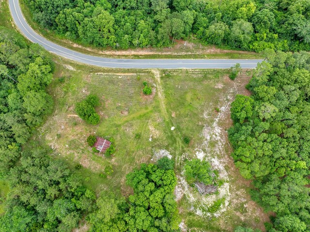 336 Green Valley Rd, Sylvester, GA 31791
