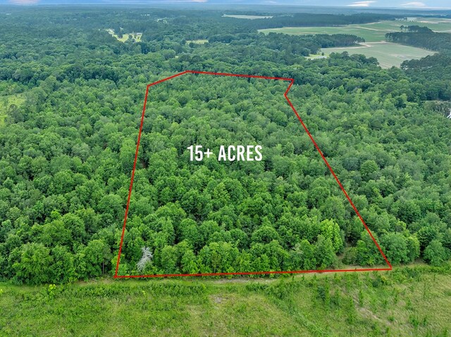 336 Green Valley Rd, Sylvester, GA 31791