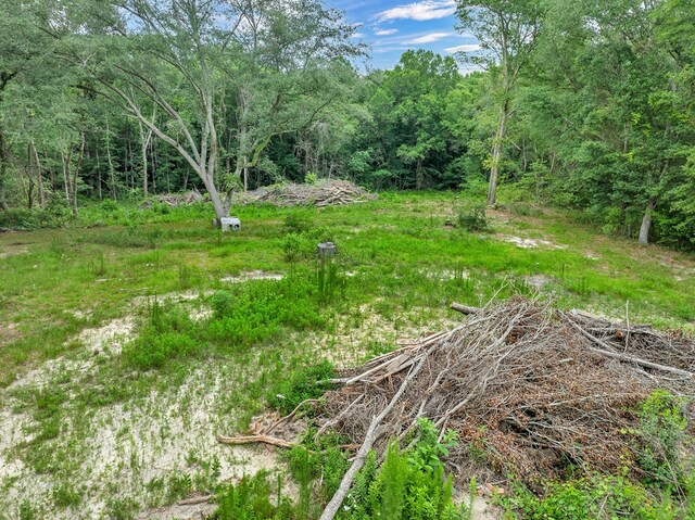 336 Green Valley Rd, Sylvester, GA 31791