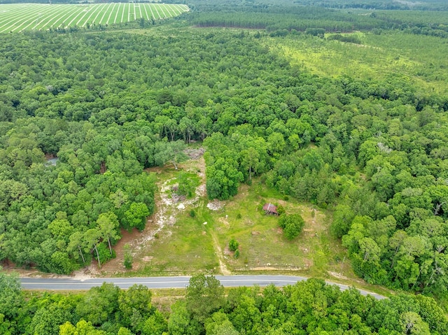 336 Green Valley Rd, Sylvester, GA 31791