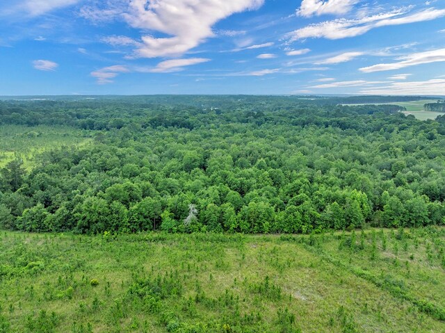 336 Green Valley Rd, Sylvester, GA 31791