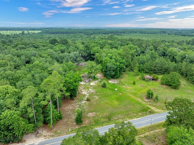 336 Green Valley Rd, Sylvester, GA 31791