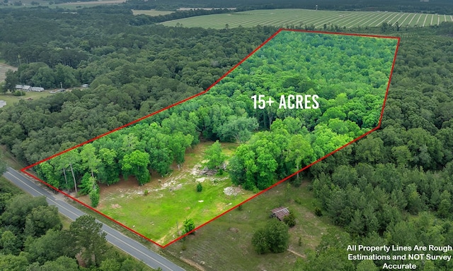 336 Green Valley Rd, Sylvester, GA 31791