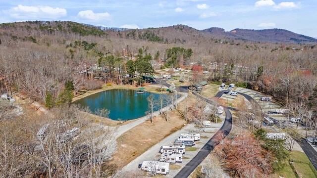 28 Bear Lovers Ct, Cleveland, GA 30528 - aerial view featuring a water and mountain view