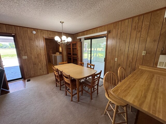 142 Elva Cir, Enigma, GA 31749 - carpeted dining room featuring healthy amount of natural light, a chandelier, wooden walls, and a textured ceiling