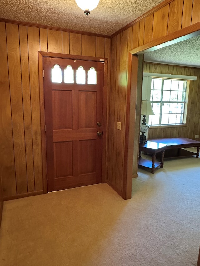 142 Elva Cir, Enigma, GA 31749 - carpeted entrance foyer with wooden walls, a textured ceiling, and crown molding