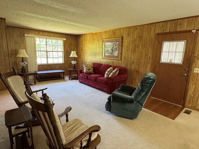 142 Elva Cir, Enigma, GA 31749 - carpeted living area featuring a textured ceiling and wood walls