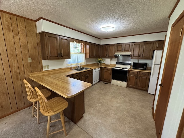 142 Elva Cir, Enigma, GA 31749 - kitchen with white appliances, a sink, under cabinet range hood, crown molding, and a peninsula