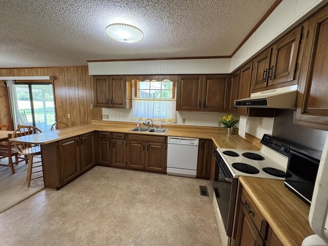 142 Elva Cir, Enigma, GA 31749 - kitchen with dishwasher, under cabinet range hood, range with electric cooktop, a sink, and a textured ceiling