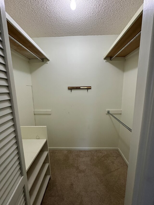 142 Elva Cir, Enigma, GA 31749 - walk in closet featuring carpet floors