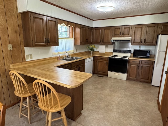142 Elva Cir, Enigma, GA 31749 - kitchen featuring white appliances, under cabinet range hood, a textured ceiling, a sink, and ornamental molding