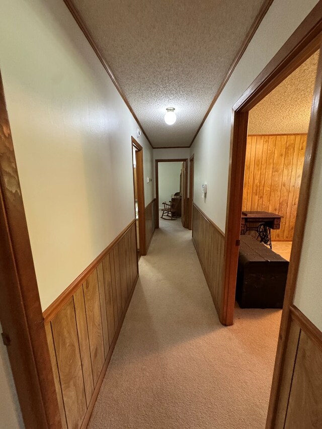 142 Elva Cir, Enigma, GA 31749 - corridor with ornamental molding, wainscoting, wooden walls, light carpet, and a textured ceiling