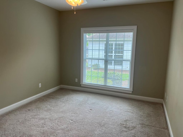 219 Cypress Ridge Rd, Tifton, GA 31794 - photo 95