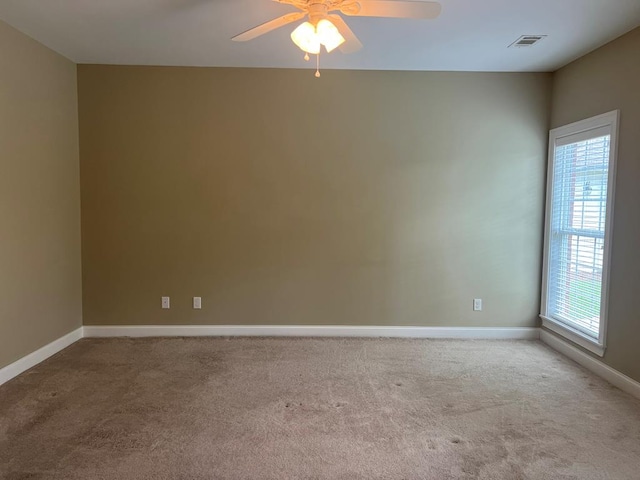 219 Cypress Ridge Rd, Tifton, GA 31794 - photo 78