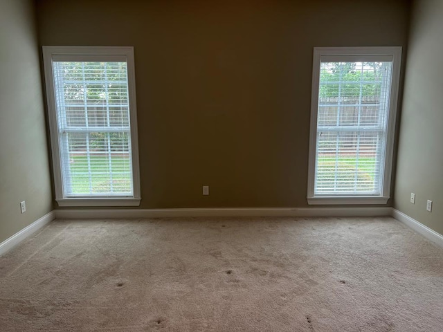 219 Cypress Ridge Rd, Tifton, GA 31794 - photo 77