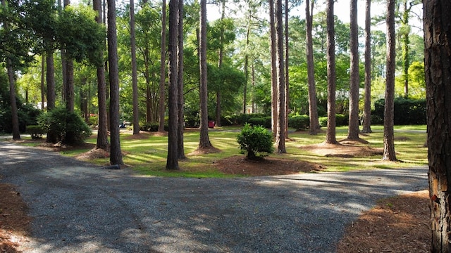 1617 N Wilson Ave, Tifton, GA 31794 - photo 37