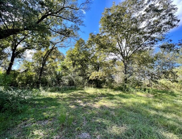 573 Frank Rd, Fitzgerald, GA 31750 - photo 6