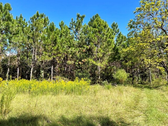 573 Frank Rd, Fitzgerald, GA 31750 - photo 2