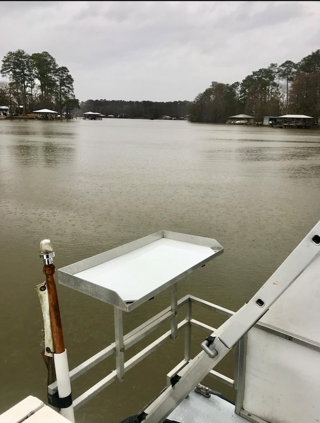 149 Cantey Dr, Lake Blackshear Waterfront, GA 31735 - photo 25