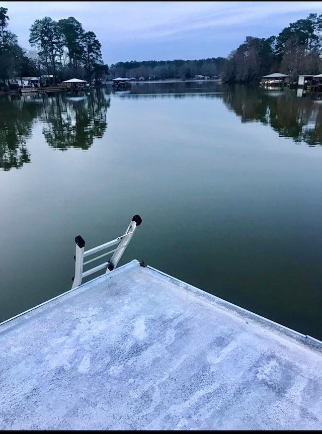 149 Cantey Dr, Lake Blackshear Waterfront, GA 31735 - photo 24