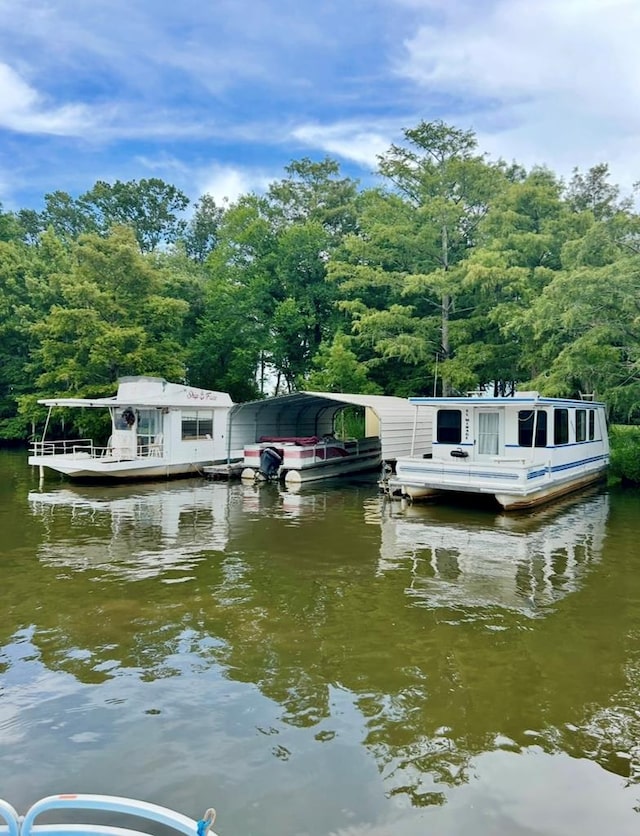 149 Cantey Dr, Lake Blackshear Waterfront, GA 31735 - photo 27