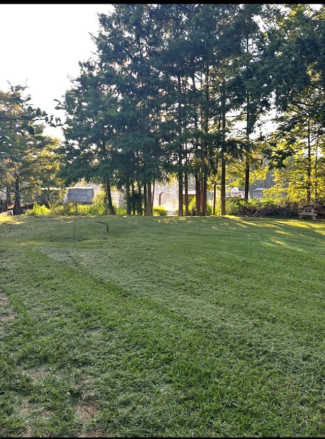 149 Cantey Dr, Lake Blackshear Waterfront, GA 31735 - photo 6