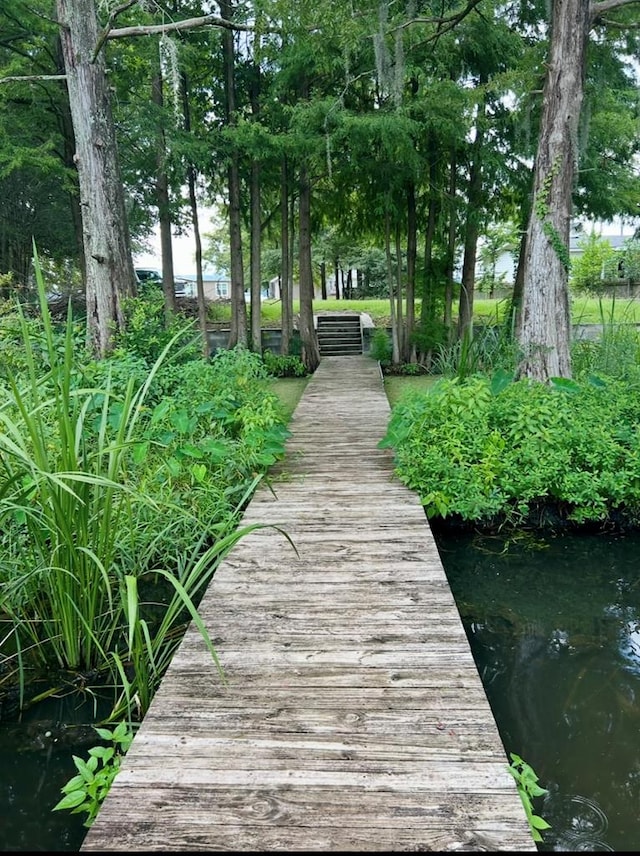 149 Cantey Dr, Lake Blackshear Waterfront, GA 31735 - photo 19