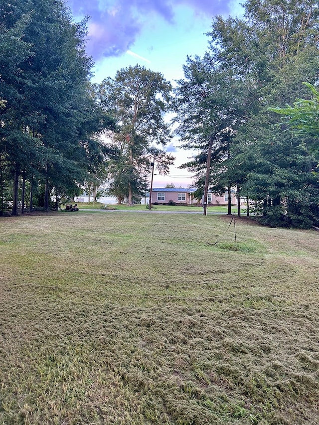 149 Cantey Dr, Lake Blackshear Waterfront, GA 31735 - photo 8