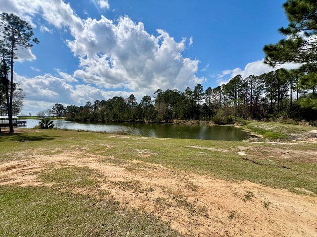 175 Burnside Rd, Fitzgerald, GA 31750 - photo 32