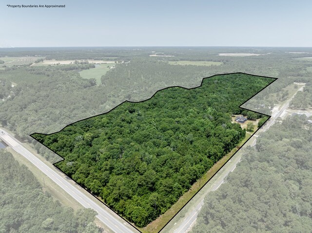 138 Eureka Church Rd, Chula, GA 31733 - photo 54