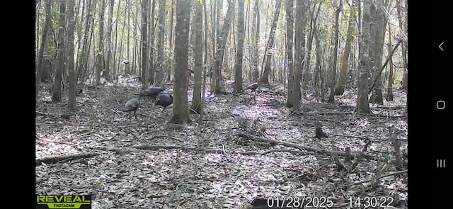 138 Eureka Church Rd, Chula, GA 31733 - photo 57