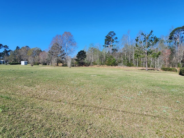 310 Laurel St, Ocilla, GA 31774 - photo 58