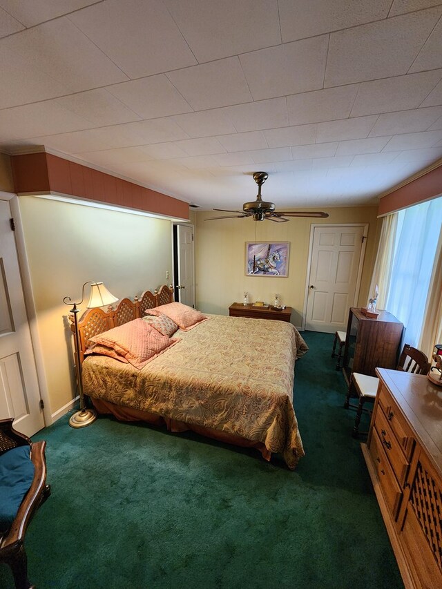310 Laurel St, Ocilla, GA 31774 - photo 15