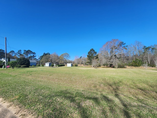 310 Laurel St, Ocilla, GA 31774 - photo 57